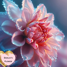 Load image into Gallery viewer, Dahlia’s Flower Body Oil
